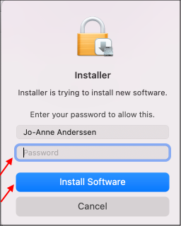 Install Software Button