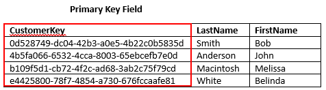 Primary key field