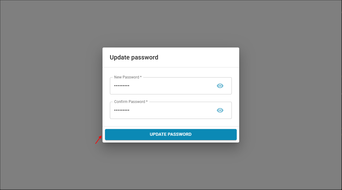 Update Password window