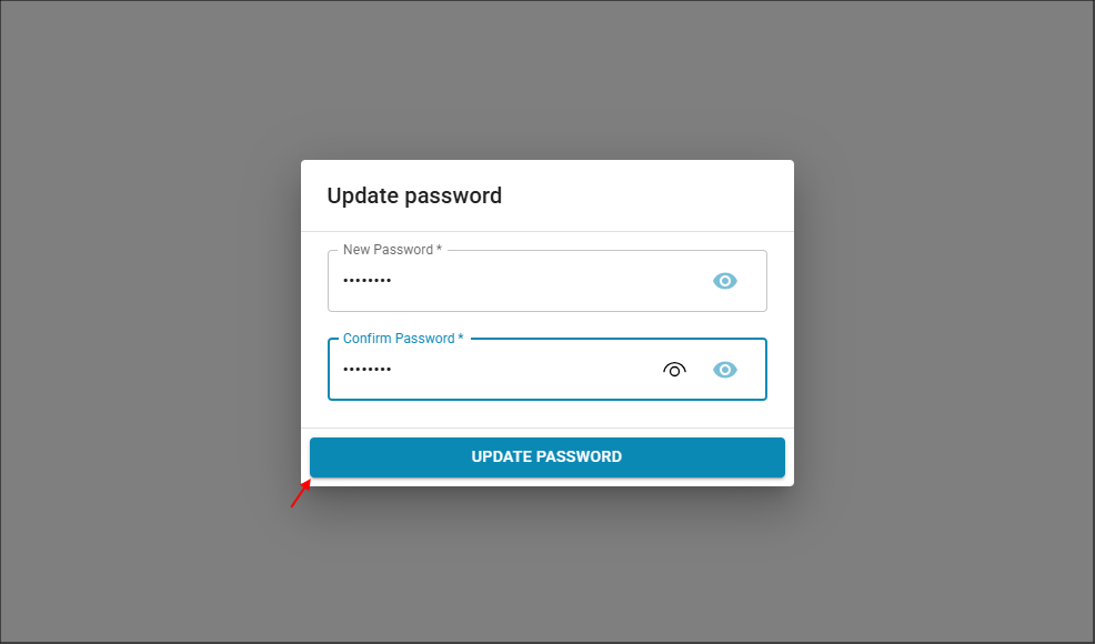 Update Password button
