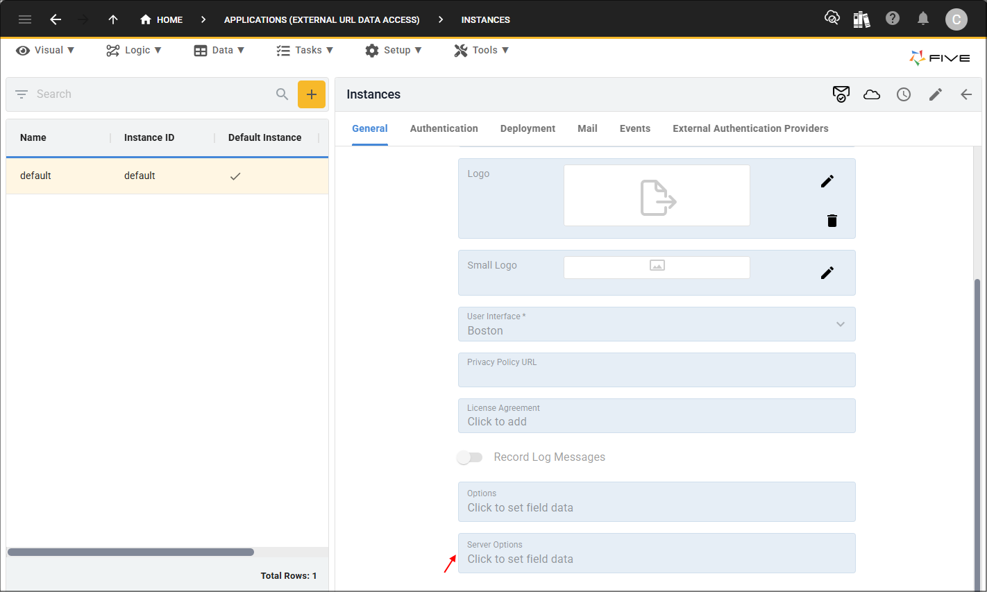 Server Options field